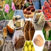 Учебна визита по QualFarm в Златоград и Кирково